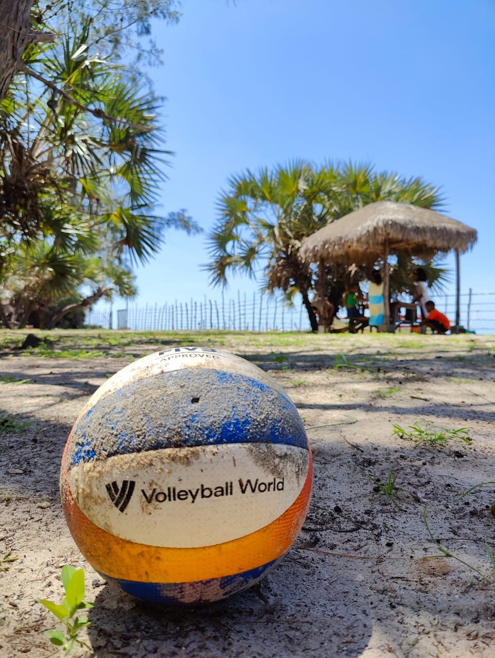 Saut beach volley, DDM
